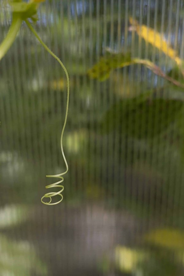 How Are Virtual Assistants Adapting to Multilingual Interactions?